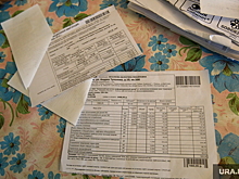 К проблеме, грозящей социальным взрывом, подключилась мэрия Кургана