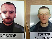 Заключенные сбежали из колонии в Новосибирске