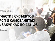 Предпринимателей и самозанятых приглашают на бесплатный семинар по участию в закупках по 223-ФЗ