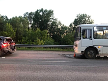 Из-за уток пять человек получили травмы в ДТП под Новосибирском