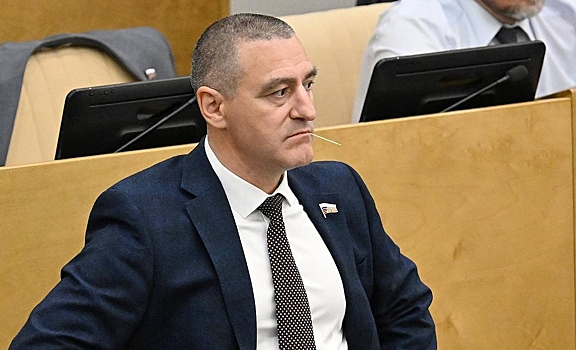 Комиссия Госдумы по этике отреагировала на слова депутата о работе «рожалки»