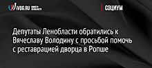 Депутаты Ленобласти обратились к Вячеславу Володину с просьбой помочь с реставрацией дворца в Ропше