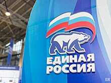 Названы делегаты от саратовского реготделения «ЕР» на XX съезд партии