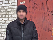 Полицией Подмосковья задержан мужчина после кражи кроссовера в Пересвете