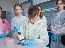 Открыт конкурсный отбор на Междисциплинарную школу информационных  и биотехнологий для талантливых и мотивированных школьников
