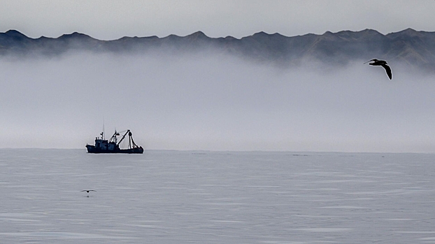 Спасатели экстренно эвакуировали моряка с судна в Охотском море