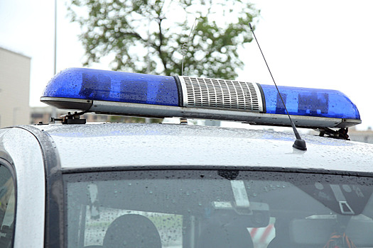 Стали известны подробности убийства 19-летней девушки в Новосибирской области