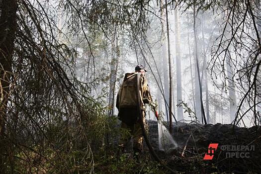 В Красноярском крае потушили лесной пожар, вызванный непогодой