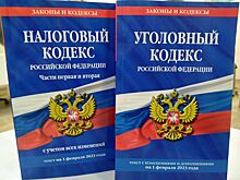 Жителям Новосибирска рассказали о новых уголовных рисках при регистрации ИП