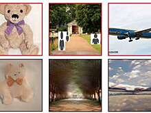 Ученые использовали ИИ, чтобы воссоздать изображения по мыслям людей