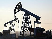 Индия пересматривает торговлю с Россией