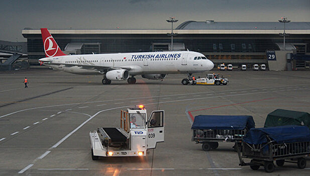 Турецкий самолет вернулся во Внуково после столкновения со стаей птиц