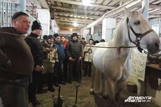 В Оренбуржье для конников впервые провели семинар по ковке лошадей