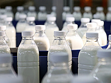 В "Союзмолоке" заявили, что дефицита кисломолочных продуктов в России не будет