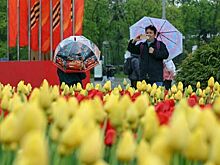 Москвичам пообещали потепление с 15 мая