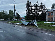 Хинштейн сообщил, что последствия урагана во Льгове почти ликвидированы