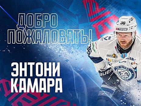 За тольяттинскую "Ладу" будет выступать канадец Энтони Камара
