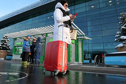 Аэропорт Домодедово успешно протестировал турникеты для электронных посадочных талонов