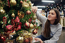 Новогодние елки для подопечных социальных учреждений проведут в Красносельском районе