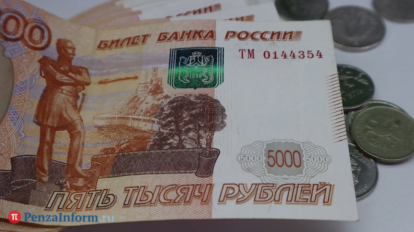 В Пензе директор не платившей налоги фирмы нажился на ее имуществе