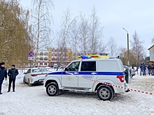 Из-за стрельбы в брянской школе возбудили дело о халатности