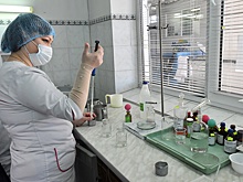 Роскачество выявило признаки использования пальмового масла в молочной продукции