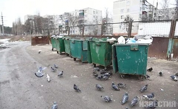 Прокуратура объявила предостережение гендиректору АО «Спецавтобаза по уборке города Курска»