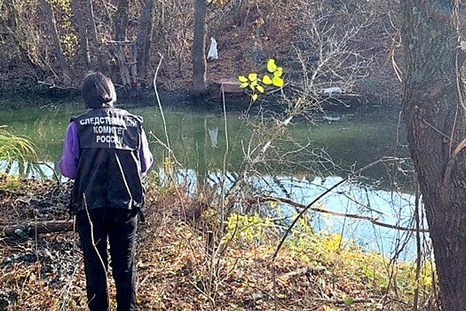 В воронежской реке нашли тела мужчины и ребенка