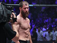 ACA, лига по MMA, история развития, руководство, турниры, состав бойцов, главные звёзды, отношения с другими промоушенами