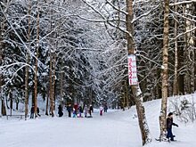 Спортивно-оздоровительную лыжную базу «Лесная» в Троицке реконструируют