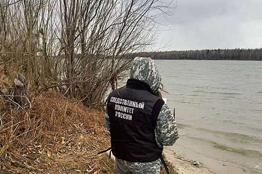 СК РФ: два человека пропали после опрокидывания судна на реке Обь