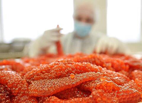 В России раскрыли объемы вывоза красной икры