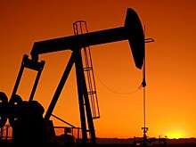 ОПЕК указала на неопределенность на рынке нефти