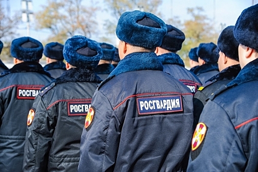 Под Волгоградом молодую пару подозревают в краже спиртных напитков