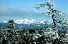 Горнолыжный курорт Сахалина начал продажу ски-пассов