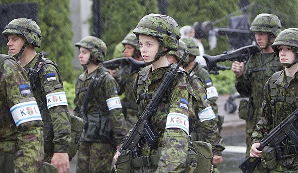 В Эстонии очередной приступ русофобии: там собираются закупать военную технику для защиты от России