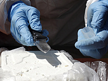 Посольство РФ отрицает работу с фигурантом «кокаинового дела»