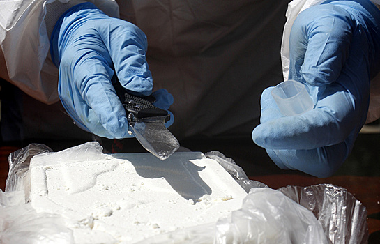 Посольство РФ отрицает работу с фигурантом «кокаинового дела»
