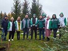Высаживать леса и сокращать углеродный след: экологическая политика ТАИФ-НК
