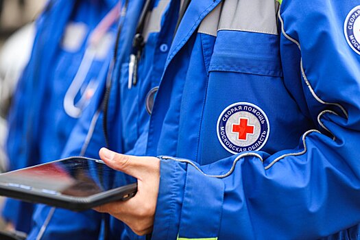 МЧС: в Подмосковье за сутки в ДТП погибли два человека