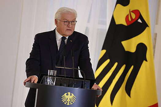 Президент Германии Штайнмайер высказался против депортации сирийских беженцев