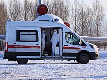 Штаб: За сутки в России подтверждено 658 случаев коронавирусной инфекции, из них 536 - в Москве