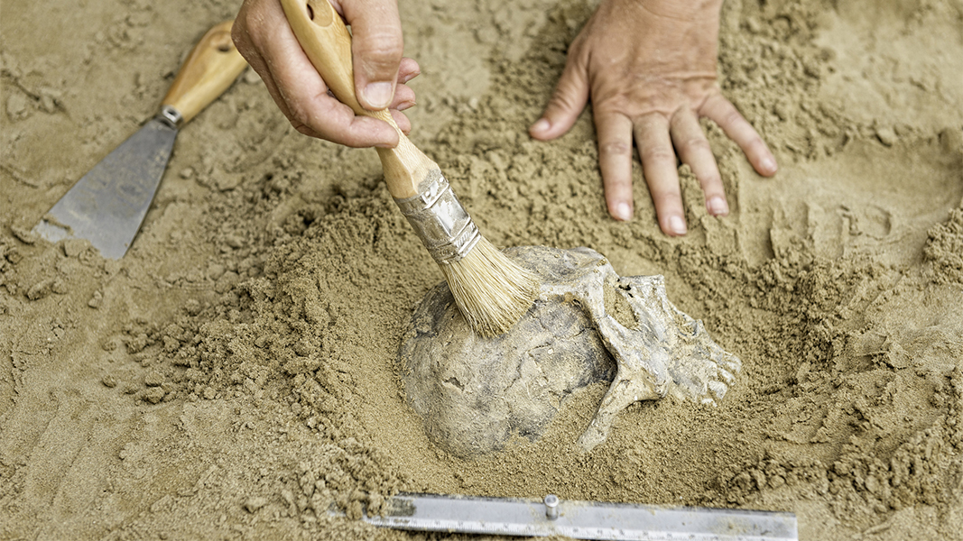 Как археологи определяют возраст древних находок