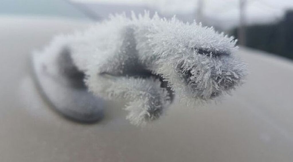 Хотел убежать, но внезапно замерз.