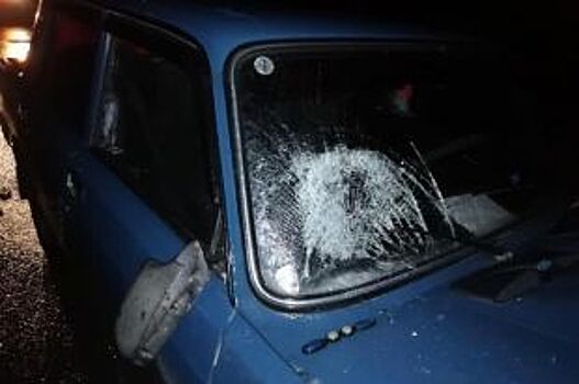 Двоих 50-летних женщин задавили в Башкирии