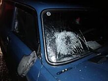 Двоих 50-летних женщин задавили в Башкирии