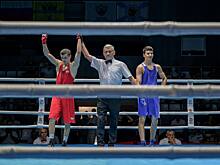 Боксеры Подмосковья завоевали 14 медалей на чемпионате ЦФО в Суздале