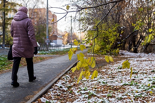Новосибирцев предупредили о временном снежном покрове в сентябре-2025