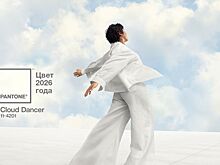 Институт Pantone представил цвет 2026 года