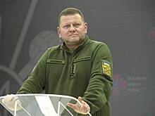 «Командование запроса не делало» Главком ВСУ опроверг слова Зеленского о необходимости мобилизовать 500 тысяч украинцев